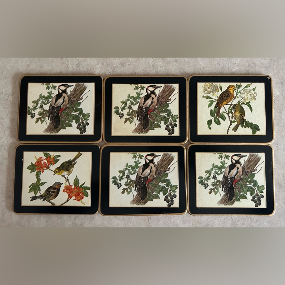 Vintage Bird Illustration Coasters Set of 6